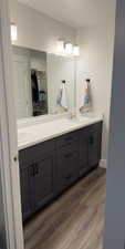 Bathroom featuring double vanity, a walk in closet, and dark wood-type flooring