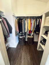 Walk in closet with dark wood-type flooring