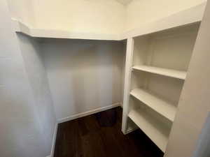 Walk in closet featuring dark wood finished floors