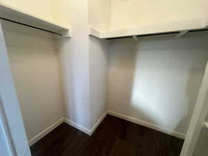 Walk in closet featuring dark wood-type flooring