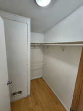 Spacious closet featuring light wood-style floors