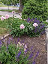 Spring and Summer is beautiful!