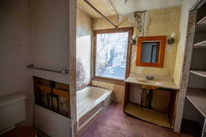 Bathroom with vanity, a tub, and carpet flooring