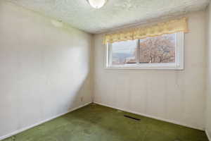 Empty room featuring carpet flooring and a textured ceiling