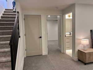 Stairway with carpet