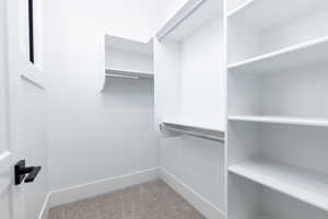 Spacious closet featuring light carpet