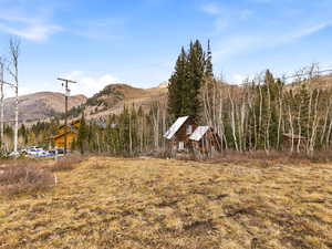 View of yard featuring a mountain view