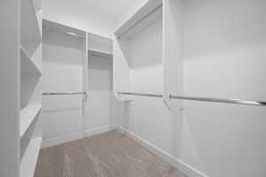 Spacious closet featuring light colored carpet