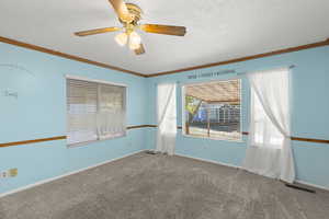 Spare room featuring crown molding, carpet floors, a textured ceiling, and ceiling fan