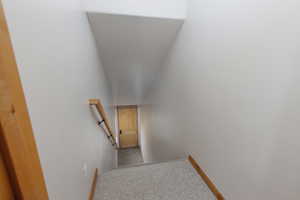 Staircase featuring carpet flooring and baseboards