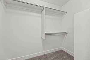 Primary Bedroom Walk in Closet