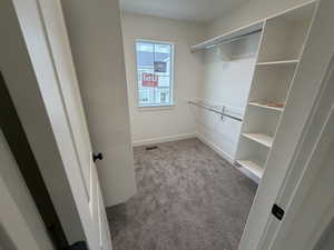 Walk in closet with light colored carpet