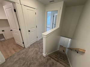 Stairway featuring carpet and wood finished floors