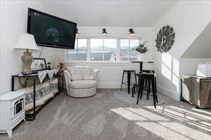 Living area featuring carpet and baseboards