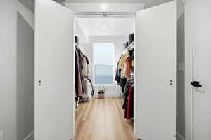 Spacious closet featuring light wood-style floors