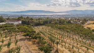 Mountain view with abundant farmland and rural landscape
