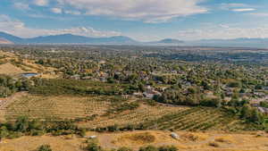 Mountain view with rows of crops and rural landscape