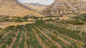 View of mountain backdrop with rural landscape and rows of crops