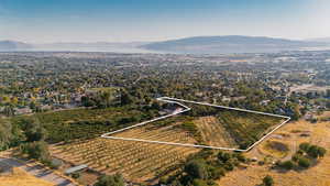 Aerial view of sparsely populated area with a mountain backdrop, property boundaries highlighted, and rows of crops