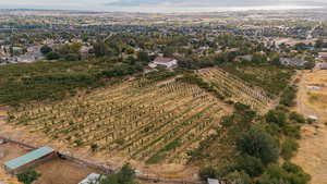 View of rural area featuring rows of crops