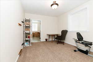 Carpeted home office with baseboards