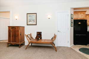 Living area with light colored carpet
