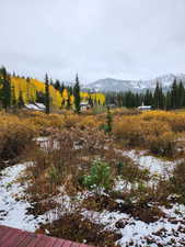 First snow with yellow quaking aspens