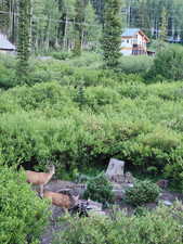 View of yard featuring a view of trees