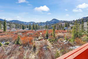View of mountain background featuring a heavily wooded area