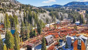 Bird's eye view of mountains and a forest