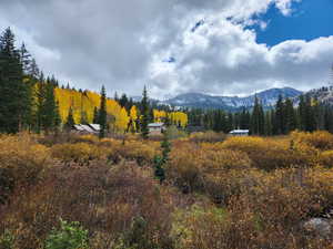 View of mountain backdrop with a heavily wooded area