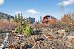 View of cabin from firepit