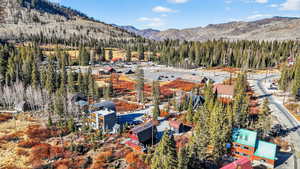 Bird's eye view of a forest and a mountain backdrop