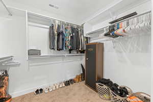 Spacious closet with carpet floors