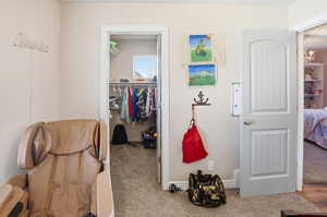 Bedroom with a walk in closet and light colored carpet