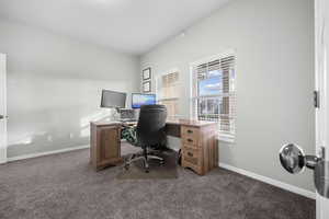 Office with dark carpet