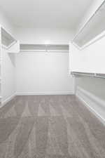 Spacious closet with carpet floors