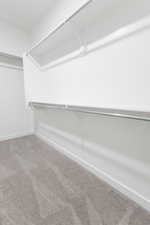 Spacious closet featuring light carpet