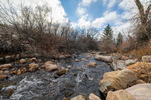 View of undeveloped land