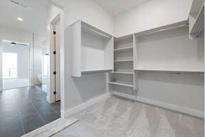 Spacious closet featuring light carpet