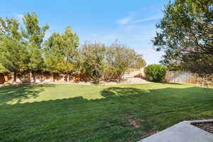 View of fenced backyard
