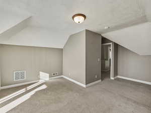 Additional living space with a textured ceiling, carpet, and lofted ceiling