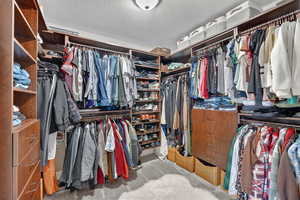 Walk in closet featuring carpet flooring