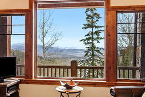 Detailed view of a mountainous background