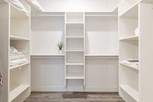 Spacious closet featuring light wood finished floors