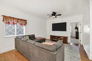 Living area with ornamental molding, wood finished floors, and ceiling fan