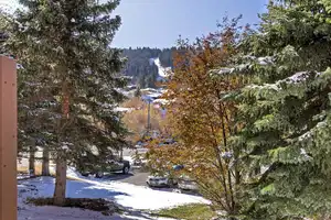 View of ski run Creole from deck