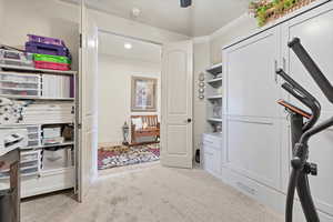 Spacious closet with light carpet