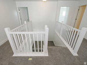 Staircase featuring carpet flooring