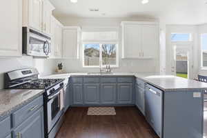 Kitchen featuring stainless steel appliances, dark wood-type flooring, white cabinetry, and recessed lighting